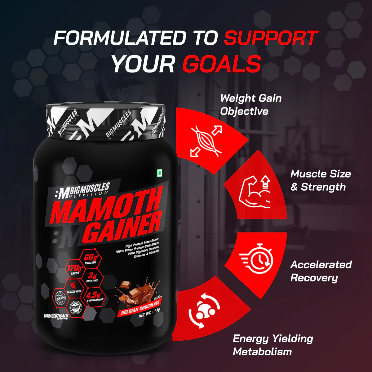 Mamoth Gainer - Image 7